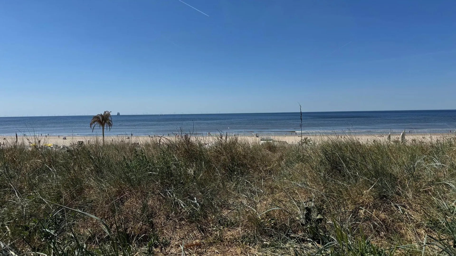 Short Stay Zandvoort At 68 Konukevi